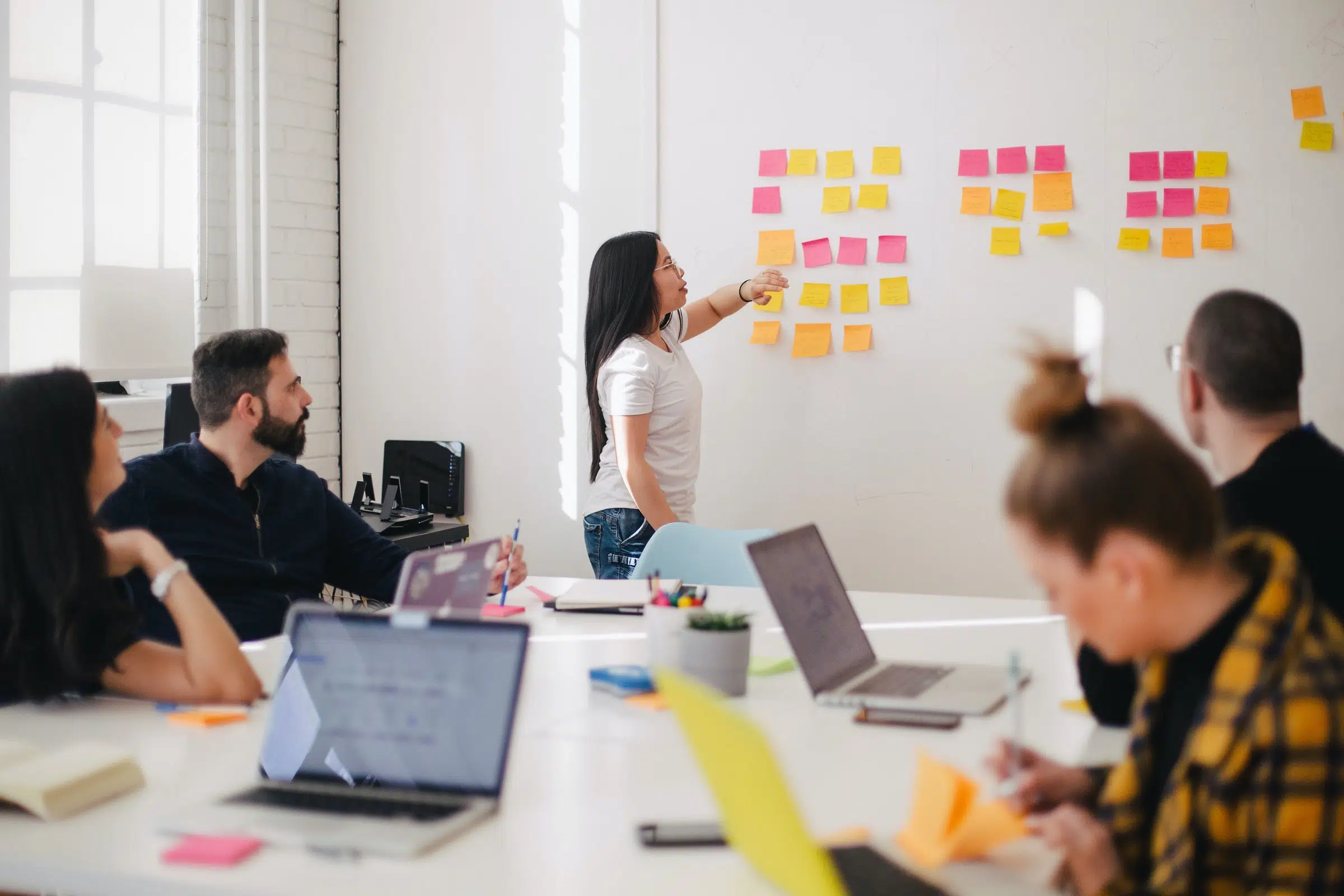 formation faire pour travailler dans le domaine de la transition écologique